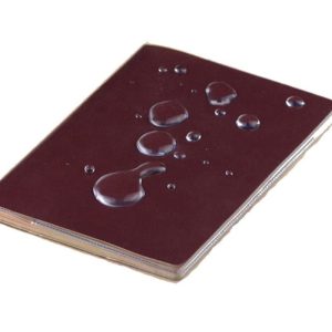 Protège-Passeport Transparent
